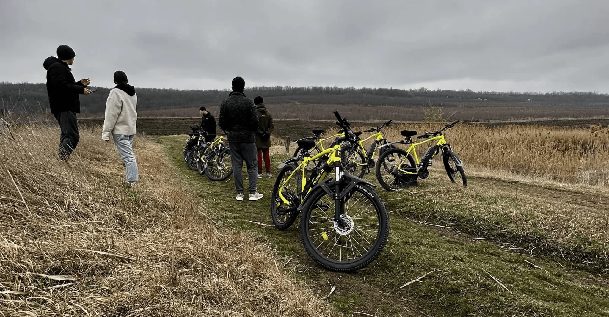 Electric bikes available for rent